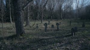 Vampyres's poster