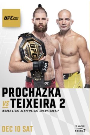 UFC 282: Blachowicz vs. Ankalaev's poster