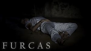 FURCAS's poster
