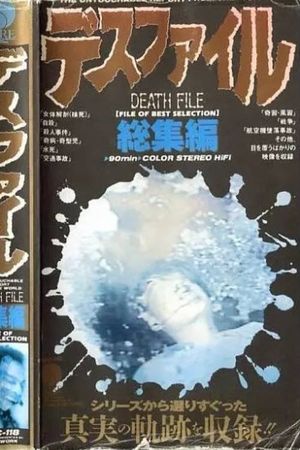 Death File: Summary's poster