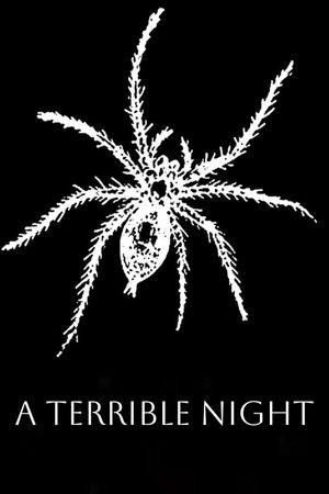 A Terrible Night's poster