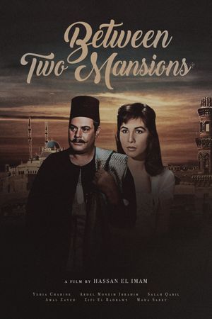 Between Two Mansions's poster