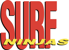 Surf Ninjas's poster