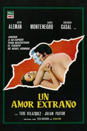 Un amor extraño's poster