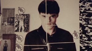 The Fan's poster
