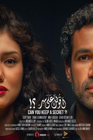 Can You Keep a Secret?'s poster