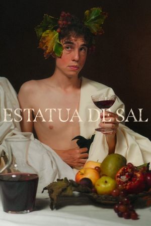 Estatua de sal's poster image