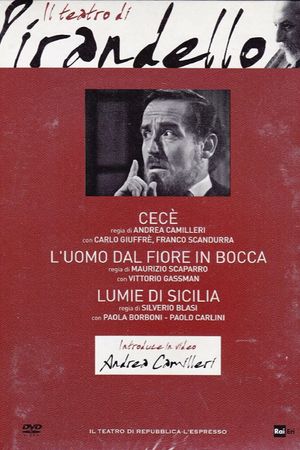 The Man with the Flower in His Mouth's poster