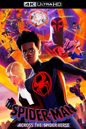 Spider-Man: Across the Spider-Verse's poster