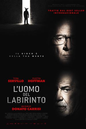 Into the Labyrinth's poster