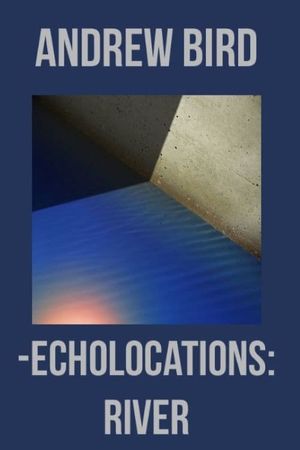 Echolocations: River's poster