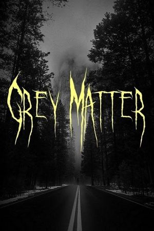 Grey Matter's poster