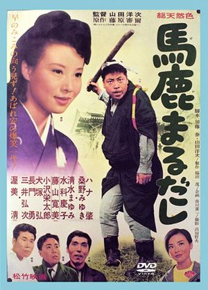 The Honest Fool's poster