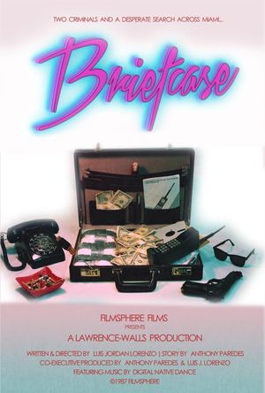 Briefcase's poster