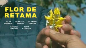 Flor de Retama's poster