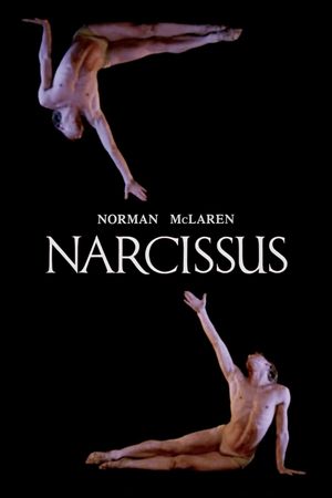 Narcissus's poster
