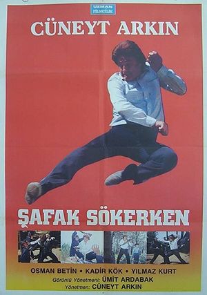 Safak Sökerken's poster