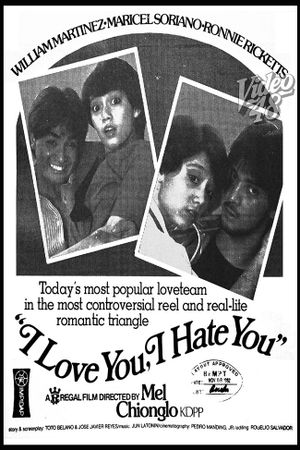 I Love You, I Hate You's poster