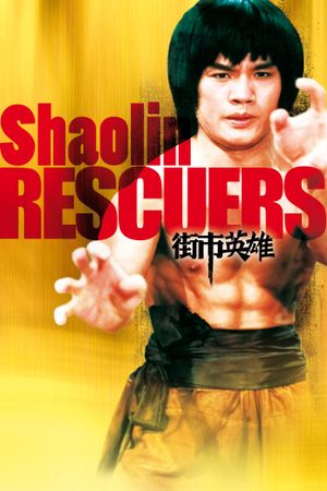 Avenging Warriors of Shaolin's poster