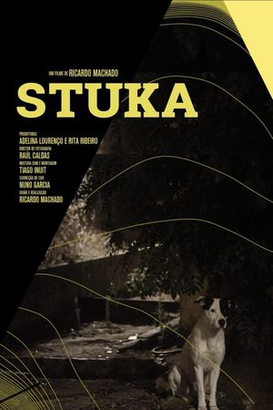 Stuka's poster image