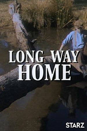 Long Way Home's poster