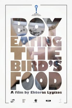 Boy Eating the Bird's Food's poster