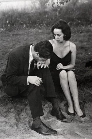 La Notte's poster