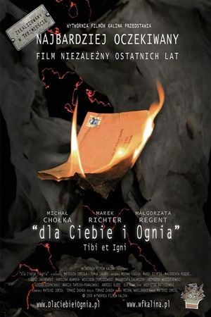 For You and the Fire's poster image