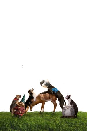 Strays's poster