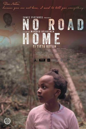 No Road Home's poster image