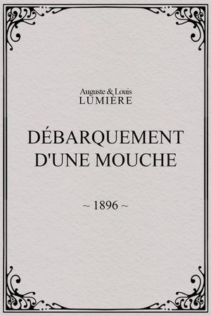 Lyon : débarquement d'une mouche's poster