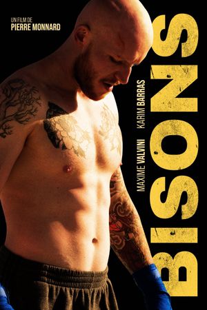 Bisons's poster