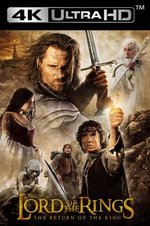 The Lord of the Rings: The Return of the King's poster