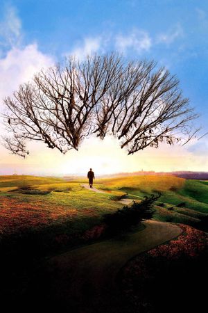 Big Fish's poster