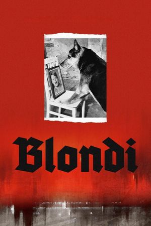Blondi's poster