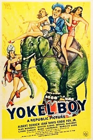 Yokel Boy's poster