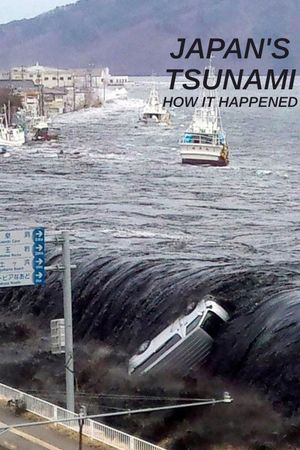 Japan's Tsunami: How It Happened's poster
