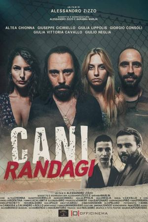 Cani randagi's poster