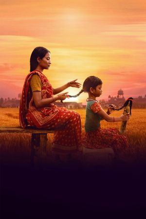 The Braid's poster