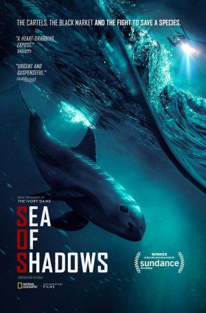Sea of Shadows's poster