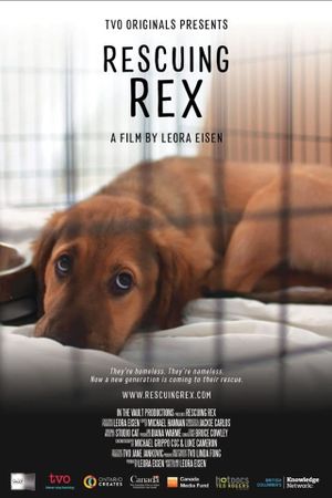 Rescuing Rex's poster