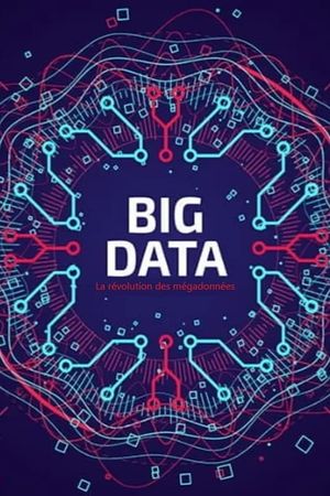 Big Data - La révolution des mégadonnées's poster