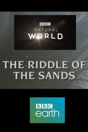 The Riddle of the Sands's poster