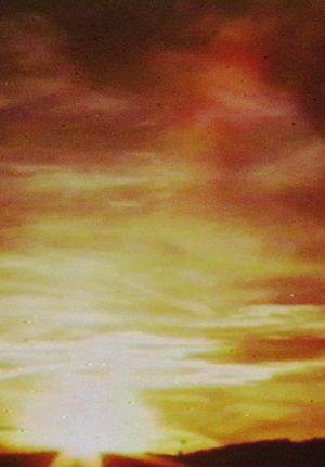 Sunsets's poster