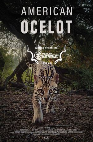 American Ocelot's poster