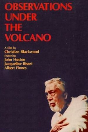 Observations Under the Volcano's poster