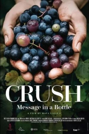 Crush: Message in a bottle's poster