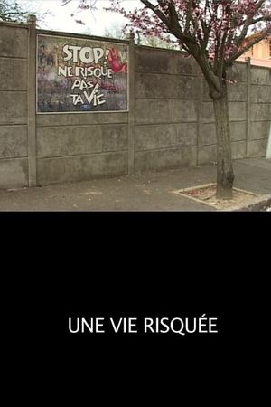 Une Vie Risquée's poster