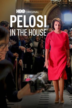 Pelosi in the House's poster image