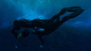 The Dive's poster